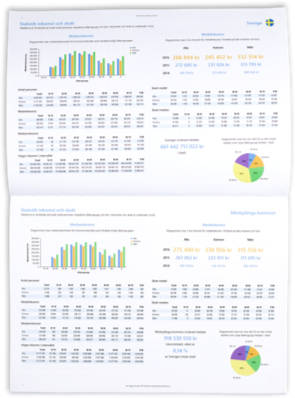 Exempel på statistiksida om inkomster i Ratsitkatalogen